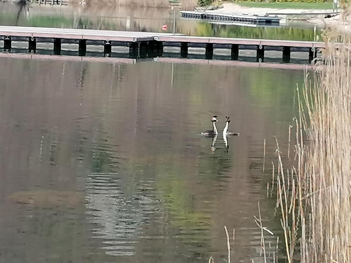 Appartamento Ca' dei Cigni Calceranica al Lago Esterno foto
